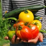 Potager