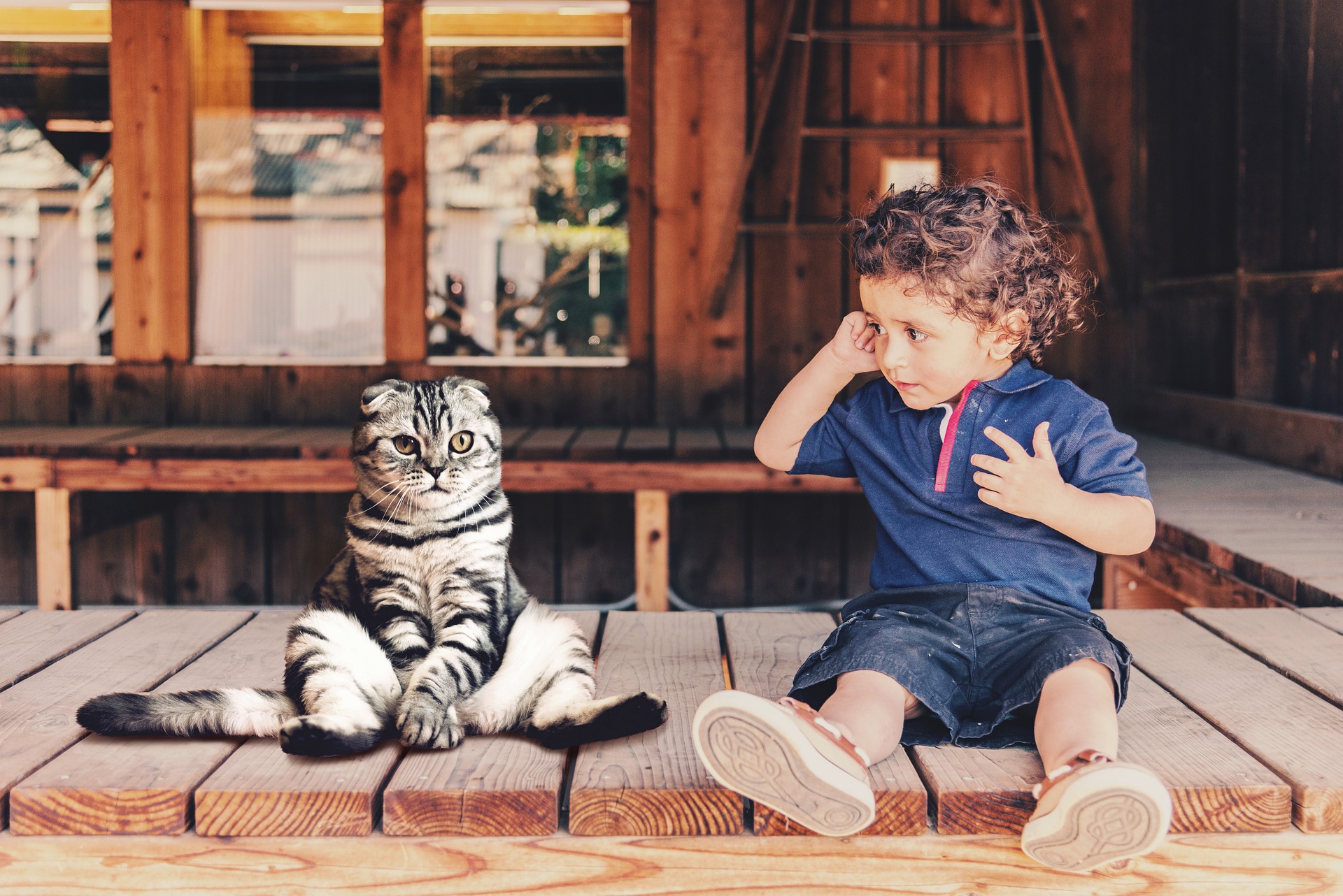 Chat et enfant 2