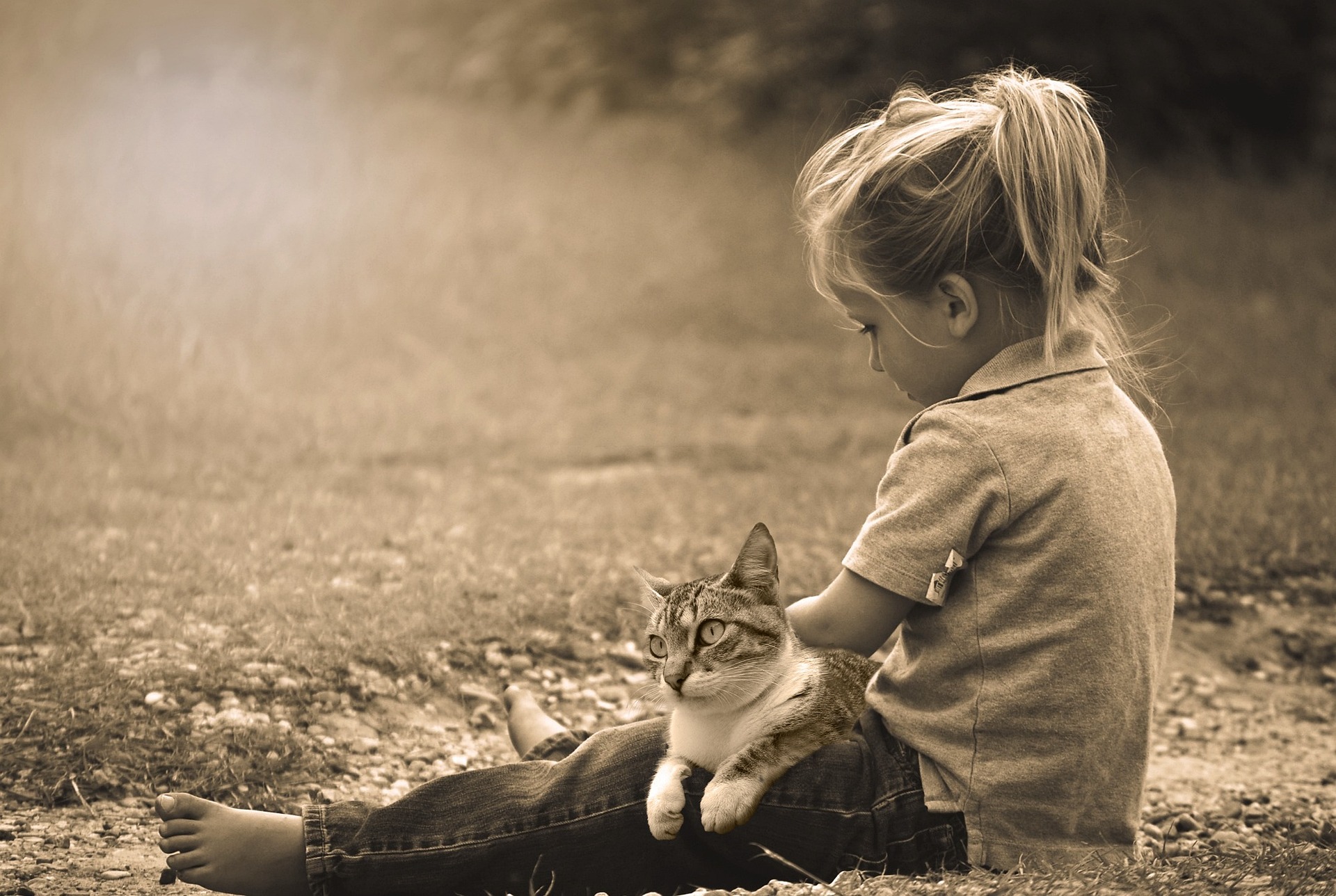 Chat et enfant