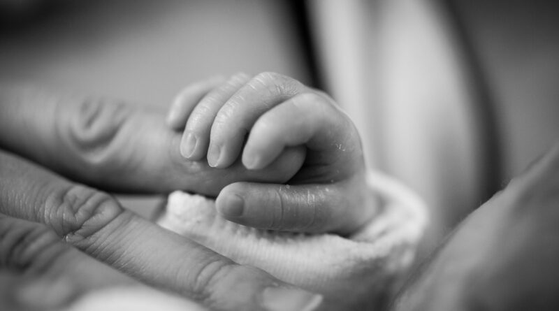 Naissance 2